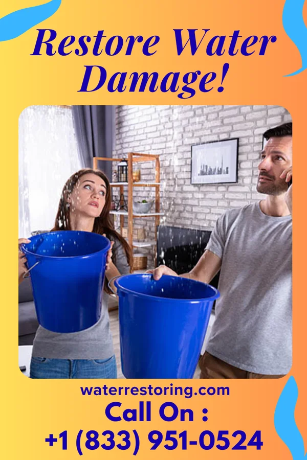 water restoration Citywide Restoration Services Tyro