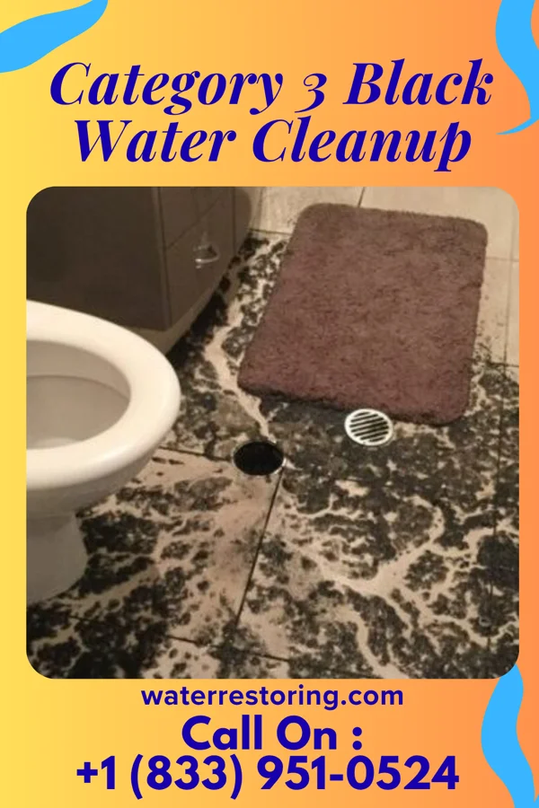 Category 3 Black Water Cleanup in Tyro, KS
