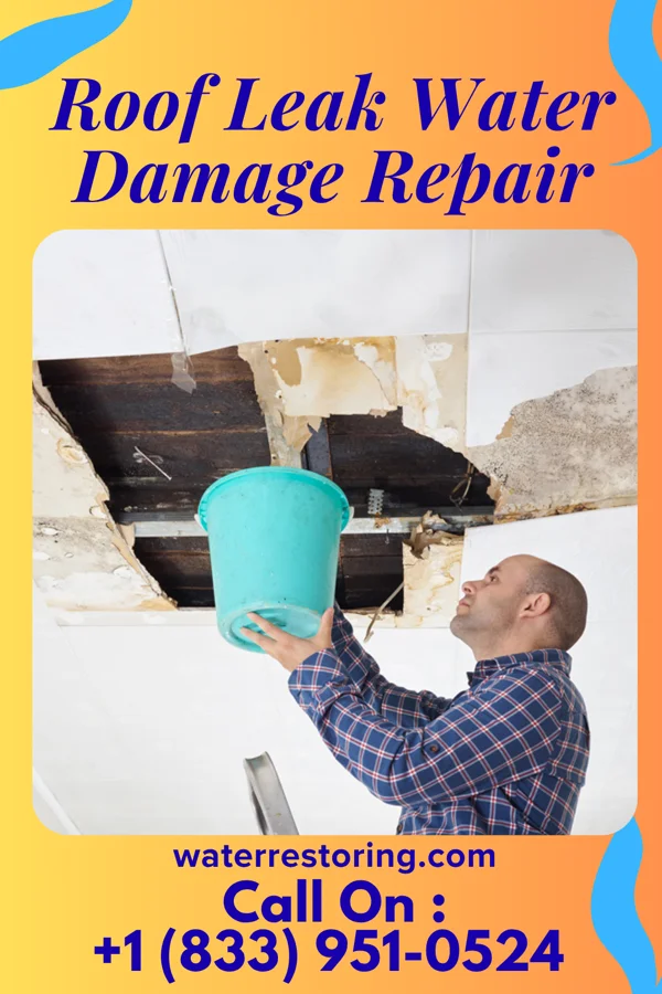 Roof Leak Water Damage Repair in Tyro, KS