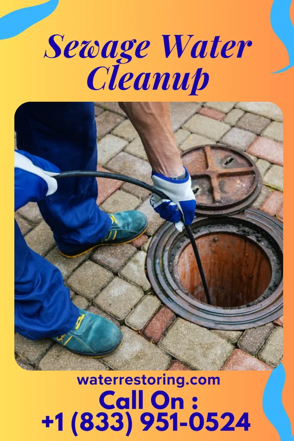 Sewage Water Cleanup in Tyro, KS