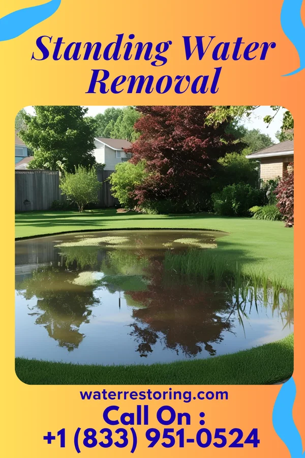 Standing Water Removal in Tyro, KS